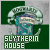  House: Slytherin