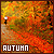  Seasons: Autumn/Fall